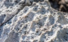 An overview of what Calcium Carbonate is and why is it so important?