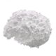 Ground Calcium Carbonate